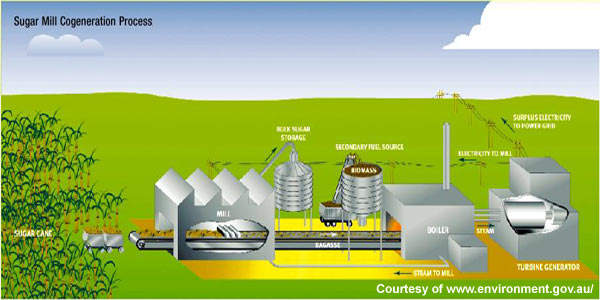 Rocky Point Cogeneration Biomass Power Australia - Technology