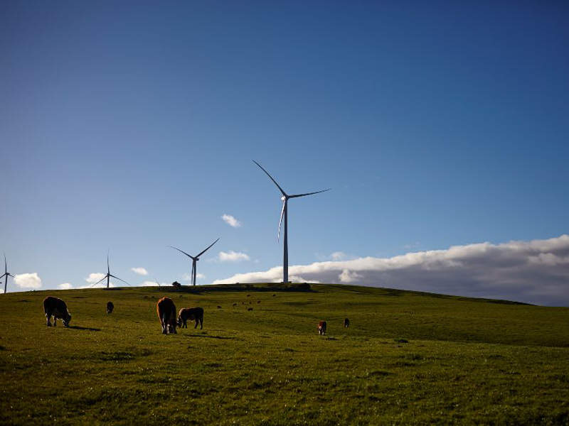 scotland wind farms