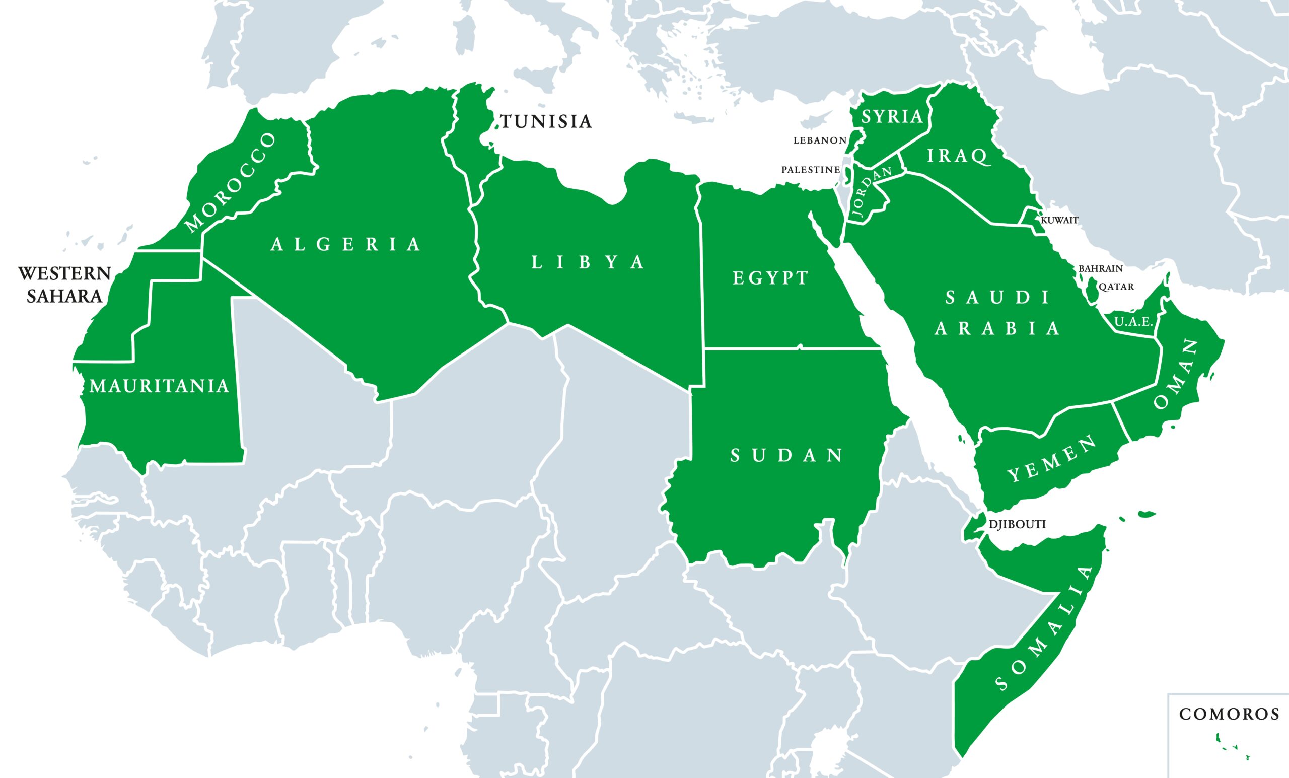 maler Plante træer skildpadde Energy in Middle East: Sector is undergoing significant transformation