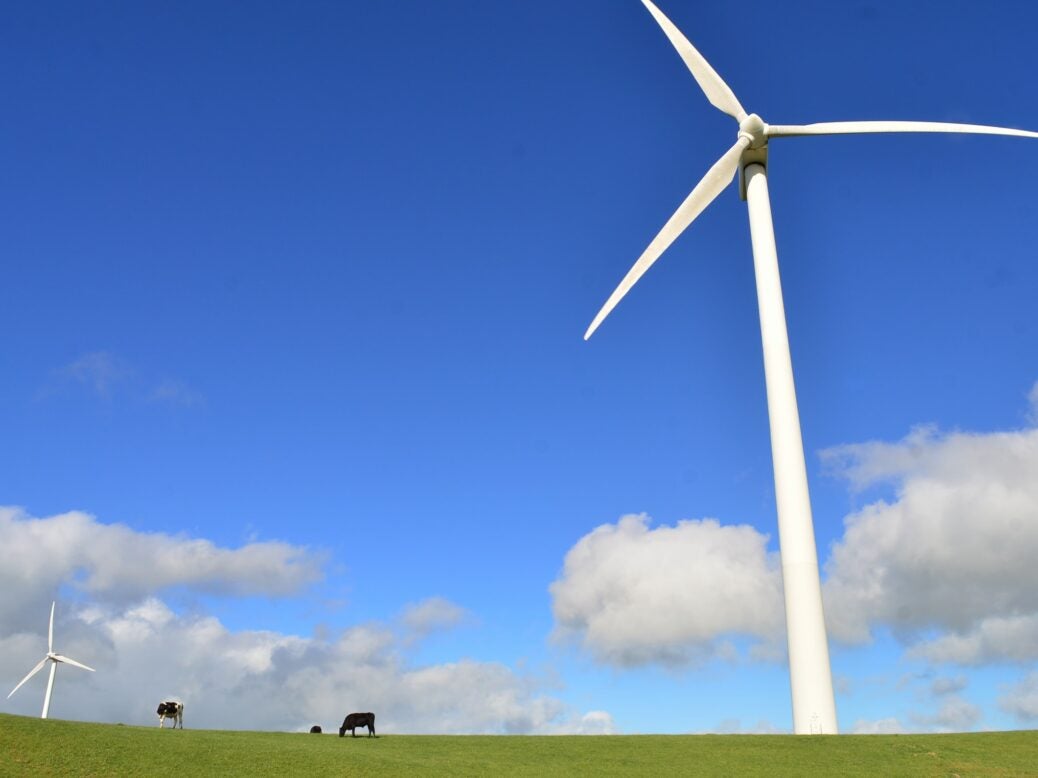 Wind turbine in cow fields