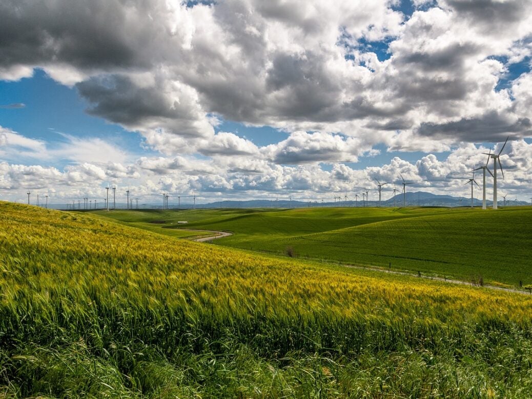 Fields with wind turbines