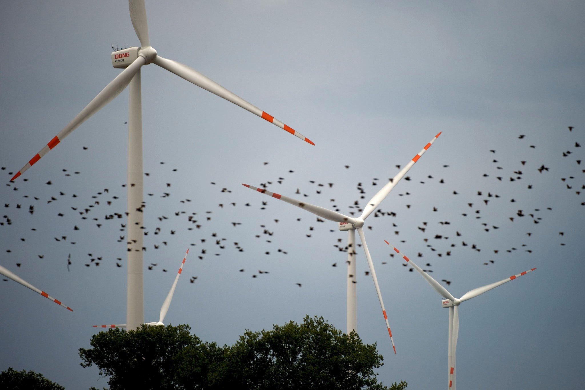 Wind turbines kill too many birds and bats. How can we…