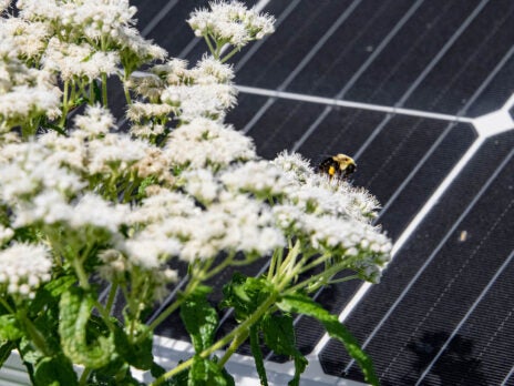 The Power Environment: What is “pollinator-friendly” solar generation?