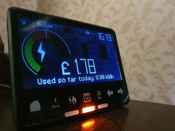 Smart meter in-home display