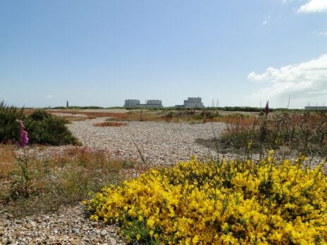 EDF to defuel Dungeness B nuclear station ahead of schedule EDF to defuel Dungeness B nuclear station ahead of schedule