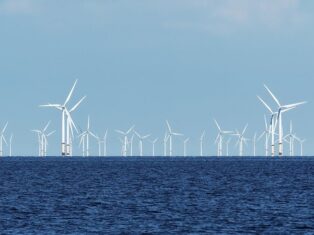 US BOEM to hold auction for offshore wind development area