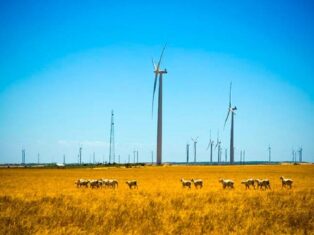 Iberdrola begins building Korytnica II wind farm in Poland