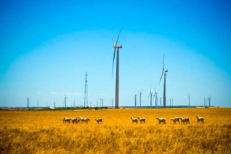 Iberdrola rozpoczyna budowę farmy wiatrowej Korytnica II w Polsce