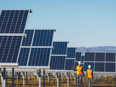 Solar trends: Sustainable energy the top term on Twitter in Q1 2022