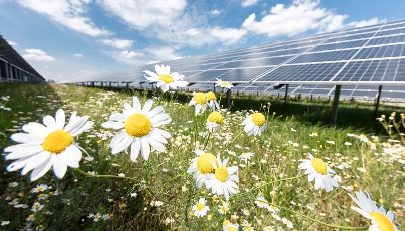 EnBW sells stake in 600MW German solar portfolio to ALH Group