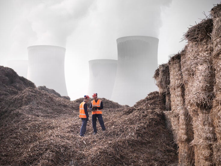 Photo of How viable is biomass production in the UK?