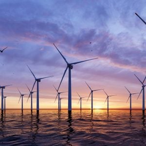 NWF energy investment