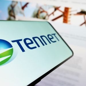 TenneT divest stake