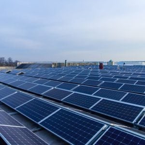 NZ Clean Energy Platform