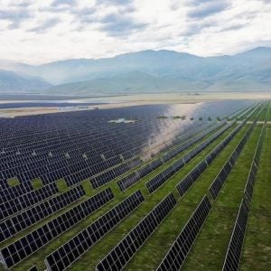 Pastoria Solar Project