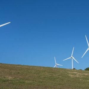 Madawaska Wind Farm_shutterstock_2715514641