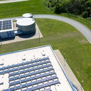 low-carbon hydrogen market