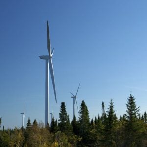 Foret Domaniale Wind Farm