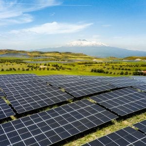 Fénix PV plant