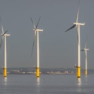 Offshore wind farm