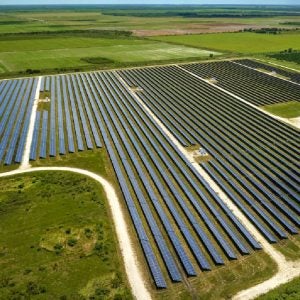 Solar farm