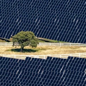 Kōwhai Park solar farm