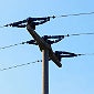Power lines