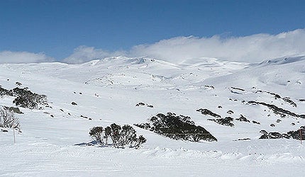 Snowy Mountains Hydroelectric Scheme is the largest engineering project undertaken in Australia