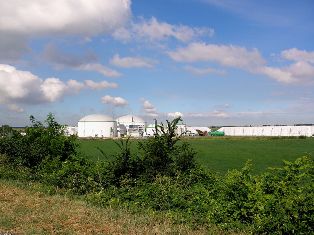 Biomass