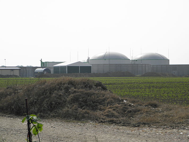 Biomass power plant