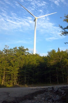 Iberdrola_wind farm