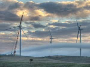 Snowtown wind farm