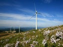 Rural Wind