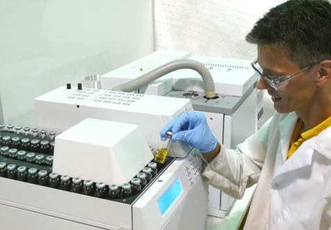 lab